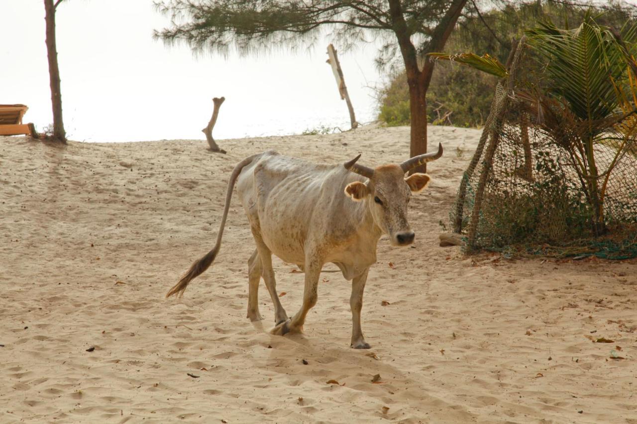 Jinack Island Jinack Lodge מראה חיצוני תמונה