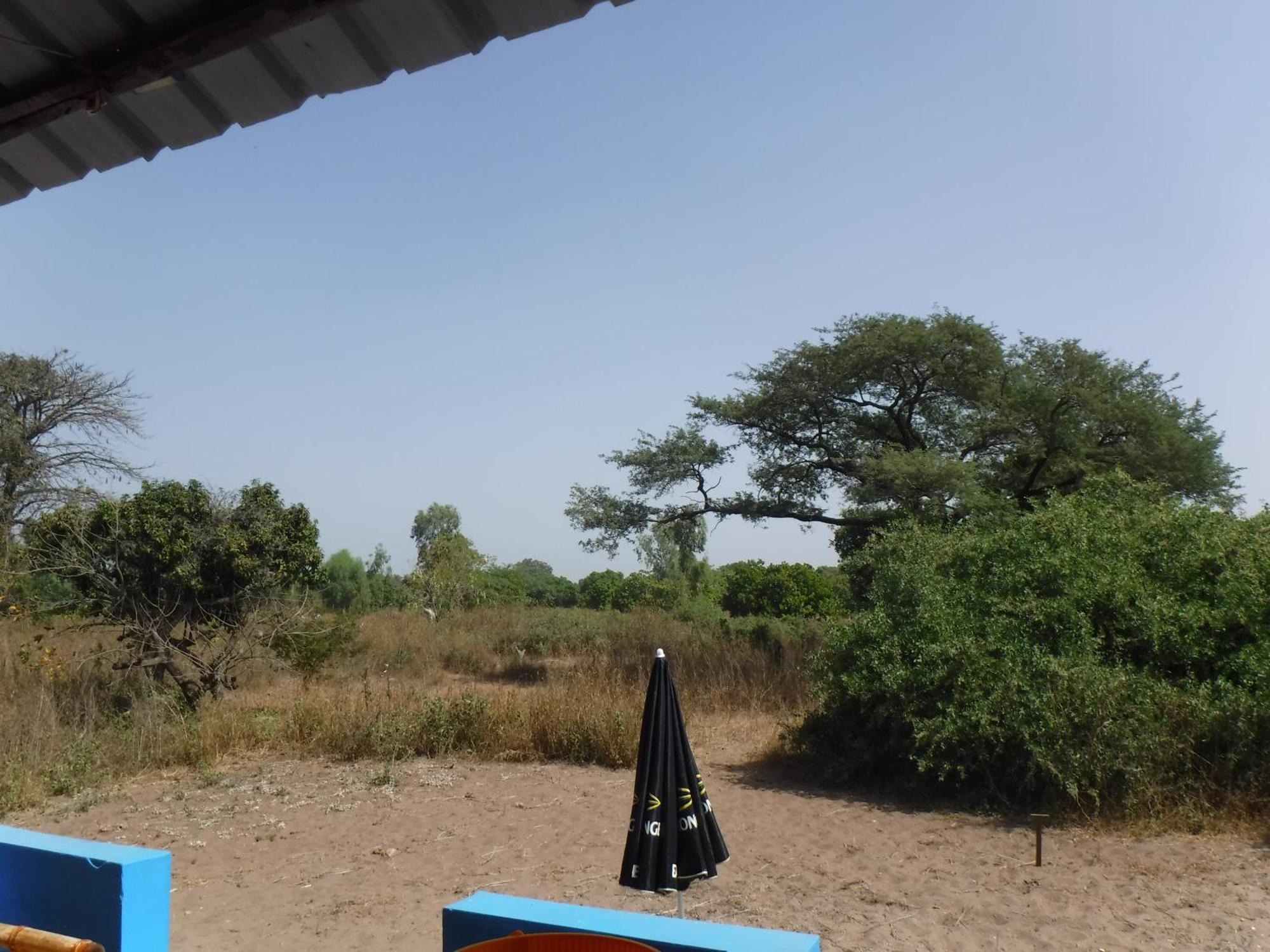 Jinack Island Jinack Lodge מראה חיצוני תמונה